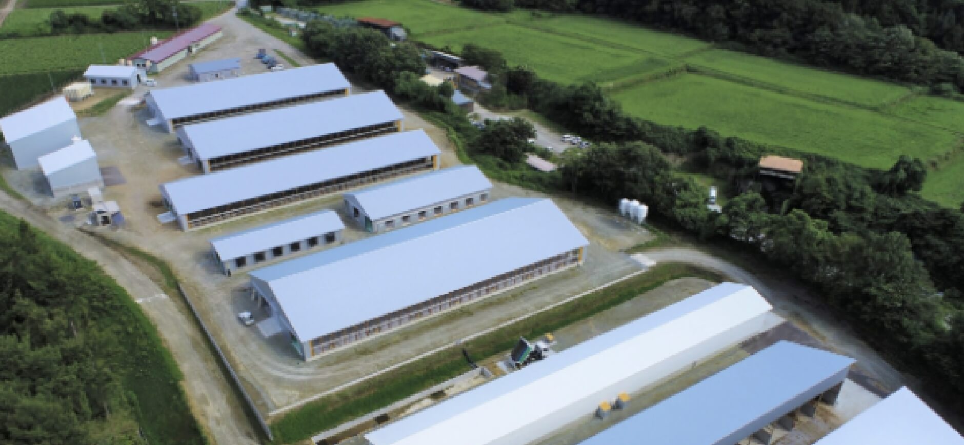 みらいグローバルファーム株式会社<br />
十和田繁殖センター　様
